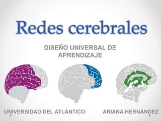 Redes cerebrales
UNIVERSIDAD DEL ATLÁNTICO ARIANA HERNÁNDEZ
DISEÑO UNIVERSAL DE
APRENDIZAJE
 