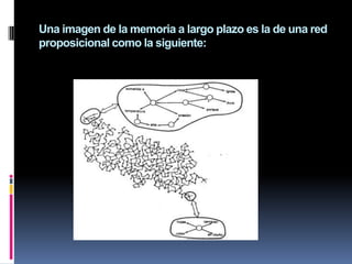 Se muestra diversas formas de representaciones del conocimiento ; su localización sería:Las proposiciones (presentadas en forma de nodos y eslabones) Tienen la forma SI- ENTONCESY las imágenes (Producciones)  que se utilizan para representar  y manipular la memoria operativa (corto plazo)Al activar las proposiciones la información pasa a la memoria operativa (corto plazo) mientras que en el caso de las producciones va directamente al generador de respuestas 