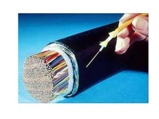 Redes de computadora y todos sus componentes 