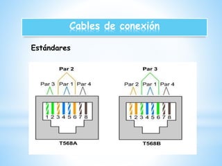 Cables de conexión 
Estándares 
 