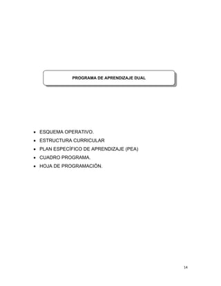  
14 
 
 ESQUEMA OPERATIVO.
 ESTRUCTURA CURRICULAR
 PLAN ESPECÍFICO DE APRENDIZAJE (PEA)
 CUADRO PROGRAMA.
 HOJA DE PROGRAMACIÓN.
PROGRAMA DE APRENDIZAJE DUAL
 