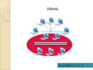 Híbrida
FAÇANHA, C. L. F
 