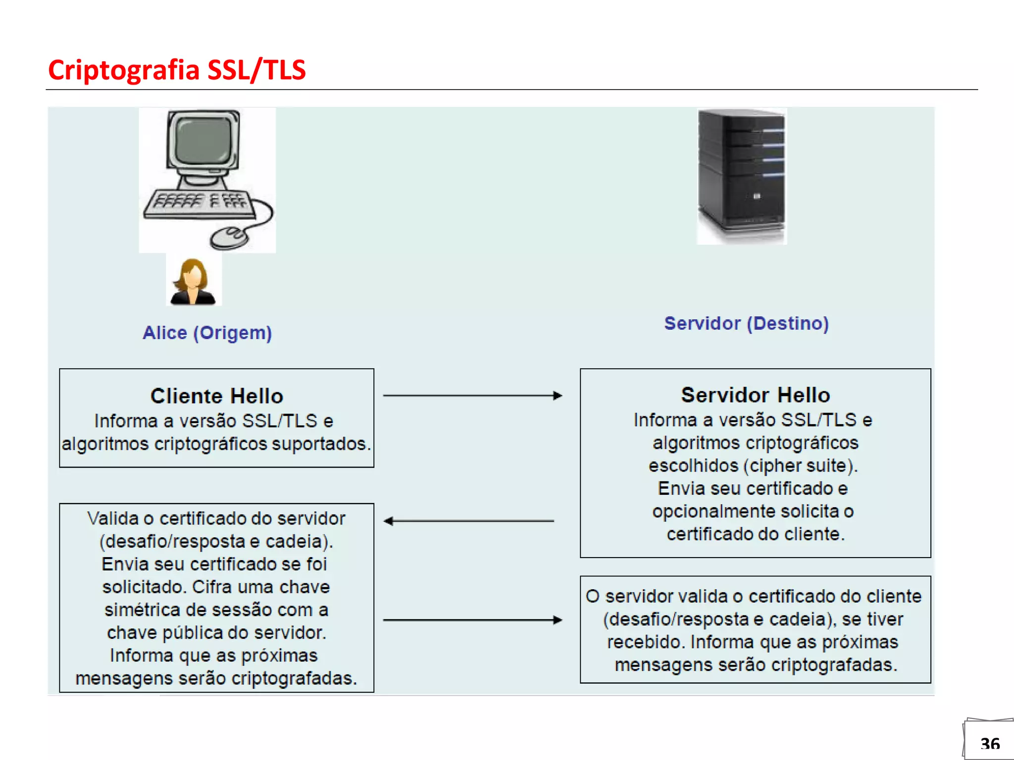 36
Criptografia SSL/TLS
 
