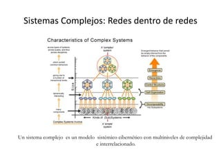 Sistemas Complejos: Redes dentro de redes
Un sistema complejo es un modelo sistémico cibernético con multiniveles de complejidad
e interrelacionado.
 