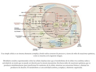 Una simple célula es un sistema altamente complejo, donde realiza centenas de procesos y ciento de miles de reacciones químicas,
como se muestra en la siguiente imagen.
Detallados estudios experimentales sobre las células dejaban claro que el metabolismo de la célula viva combina orden y
actividad de un modo que no puede ser descrito por la ciencia mecanicista. Involucra miles de reacciones químicas, que se
producen simultáneamente para transformar los nutrientes de la célula, sintetizar sus estructuras básicas y eliminar los
productos de desecho. El metabolismo es una actividad continua, compleja y altamente organizada.
 
