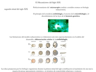 El Mecanicismo del Siglo XIX
segunda mitad del siglo XIX
Perfeccionamiento del microscopio condujo a notables avances en biología
reduccionista.
El principio de la moderna embriología, el ascenso de la microbiología y el
descubrimiento de las leyes de la herencia genética.
Las limitaciones del modelo reduccionista se evidenciaron aún más espectacularmente en el análisis del
desarrollo y diferenciación celular de la embriología.
Las ideas propuestas por los biólogos organicistas durante la primera mitad del siglo contribuyeron al nacimiento de una nueva
manera de pensar-«pensamiento sistémico»- en términos de conectividad, relaciones y contexto.
 