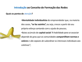 Introdução ao Conceito de Formação das Redes
Quais os pontos de atenção?
•Mentalidade individualista do empreendedor que, na maioria
dos casos, “se faz sozinho”, ou seja, cresce a partir do seu
próprio esforço contando com a ajuda de poucos;
•Baixo acúmulo de capital social:“A habilidade para se associar
depende do grau que as comunidades compartilham normas e
valores e são capazes de subordinar os interesses individuais aos
coletivos”;
 