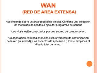 Mariela Guerrero González