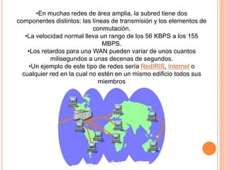 Reyna Rodríguez Molina