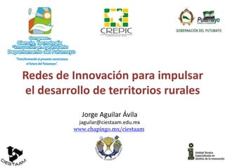 Redes de Innovación para impulsar
el desarrollo de territorios rurales
Jorge Aguilar Ávila
jaguilar@ciestaam.edu.mx
www.chapingo.mx/ciestaam
 