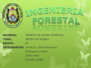 MATERIA: MANEJO DE FAUNA FORESTAL
TEMA: REDES DE NIEBLA
GRUPO: M
INTEGRANTES: Urrelo R. David fernando
Rodriguez Limber
Goitia Alex
Ronald cuellar
 