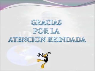 GRACIAS POR LA ATENCION BRINDADA