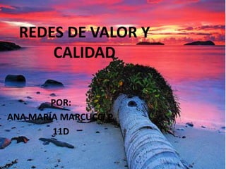 REDES DE VALOR Y
      CALIDAD

        POR:
ANA MARÍA MARCUCCI P.
        11D
 