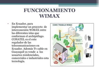FUNCIONAMIENTO WIMAX En Ecuador, para implementar un proyecto  de interconexión WiMAX entre las diferentes islas que conforman el archipiélago. CONATEL es el ente regulador de las telecomunicaciones en Ecuador. Además Tv cable en Guayaquil ya vende  a  los usuarios residenciales, comerciales e industriales esta tecnología. 