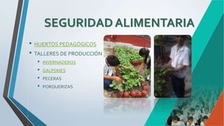 SEGURIDAD ALIMENTARIA
• HUERTOS PEDAGÓGICOS
• TALLERES DE PRODUCCIÓN
• INVERNADEROS
• GALPONES
• PECERAS
• PORQUERIZAS
 