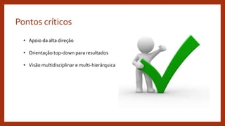 Pontos críticos
• Apoio da alta direção
• Orientação top-down para resultados
• Visão multidisciplinar e multi-hierárquica
 