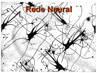 Rede Neural 