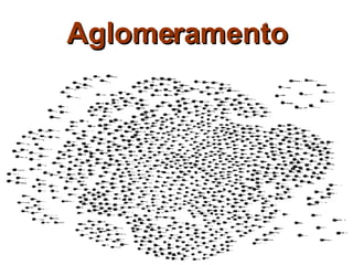 Aglomeramento 