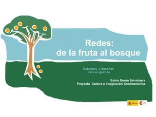 Redes: de la fruta al bosque  Imágenes  y desafíos  para su gestión Sylvie Durán Salvatierra Proyecto  Cultura e Integración/ Centroamérica 