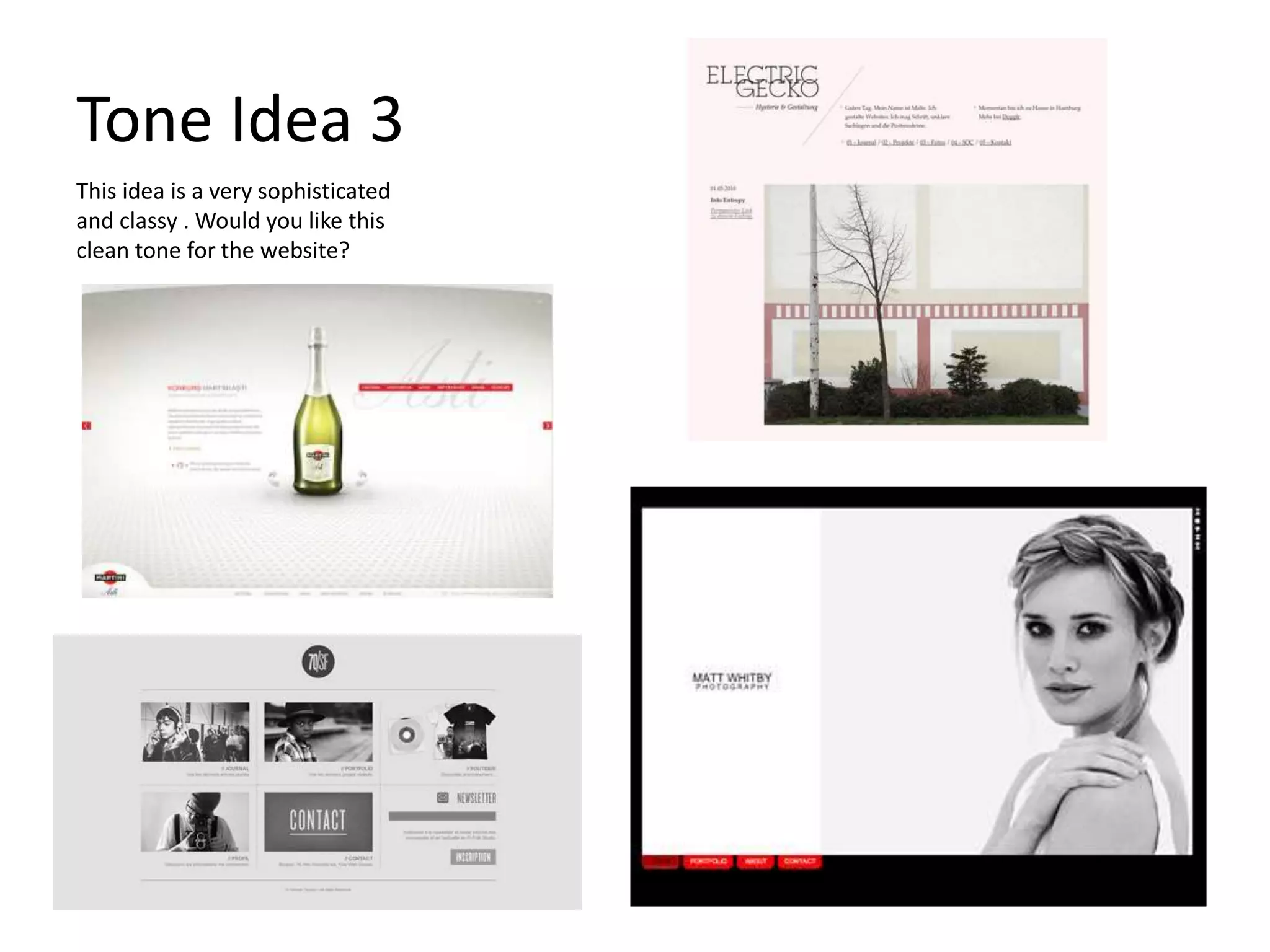 Tone Idea 3
This idea is a very sophisticated
and classy . Would you like this
clean tone for the website?
 