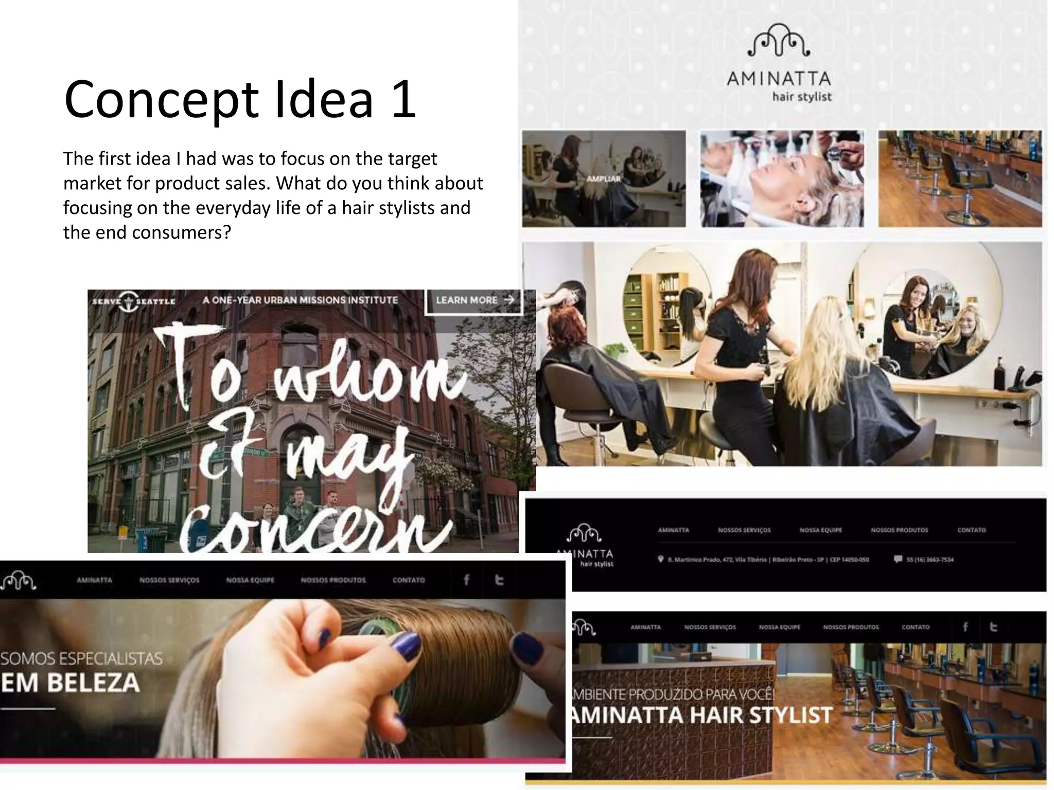 Concept Idea 1
The first idea I had was to focus on the target
market for product sales. What do you think about
focusing on the everyday life of a hair stylists and
the end consumers?
 