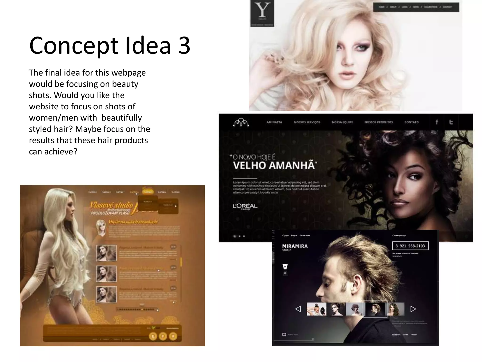 Concept Idea 3
The final idea for this webpage
would be focusing on beauty
shots. Would you like the
website to focus on shots of
women/men with beautifully
styled hair? Maybe focus on the
results that these hair products
can achieve?
 