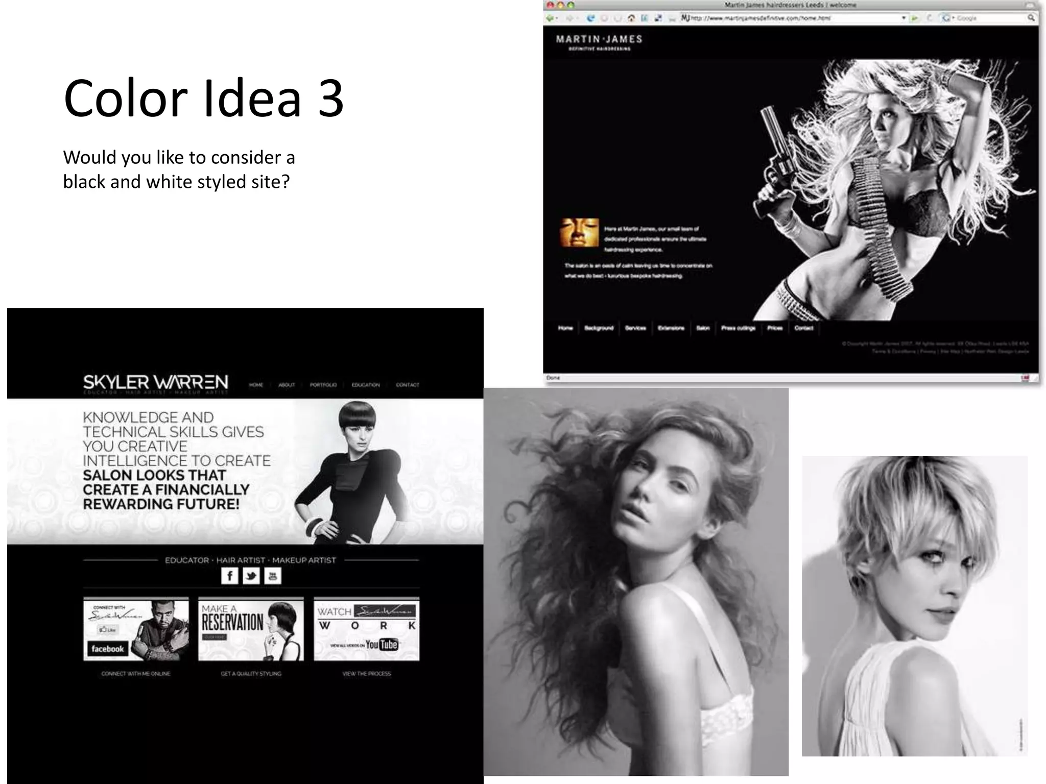 Color Idea 3
Would you like to consider a
black and white styled site?
 