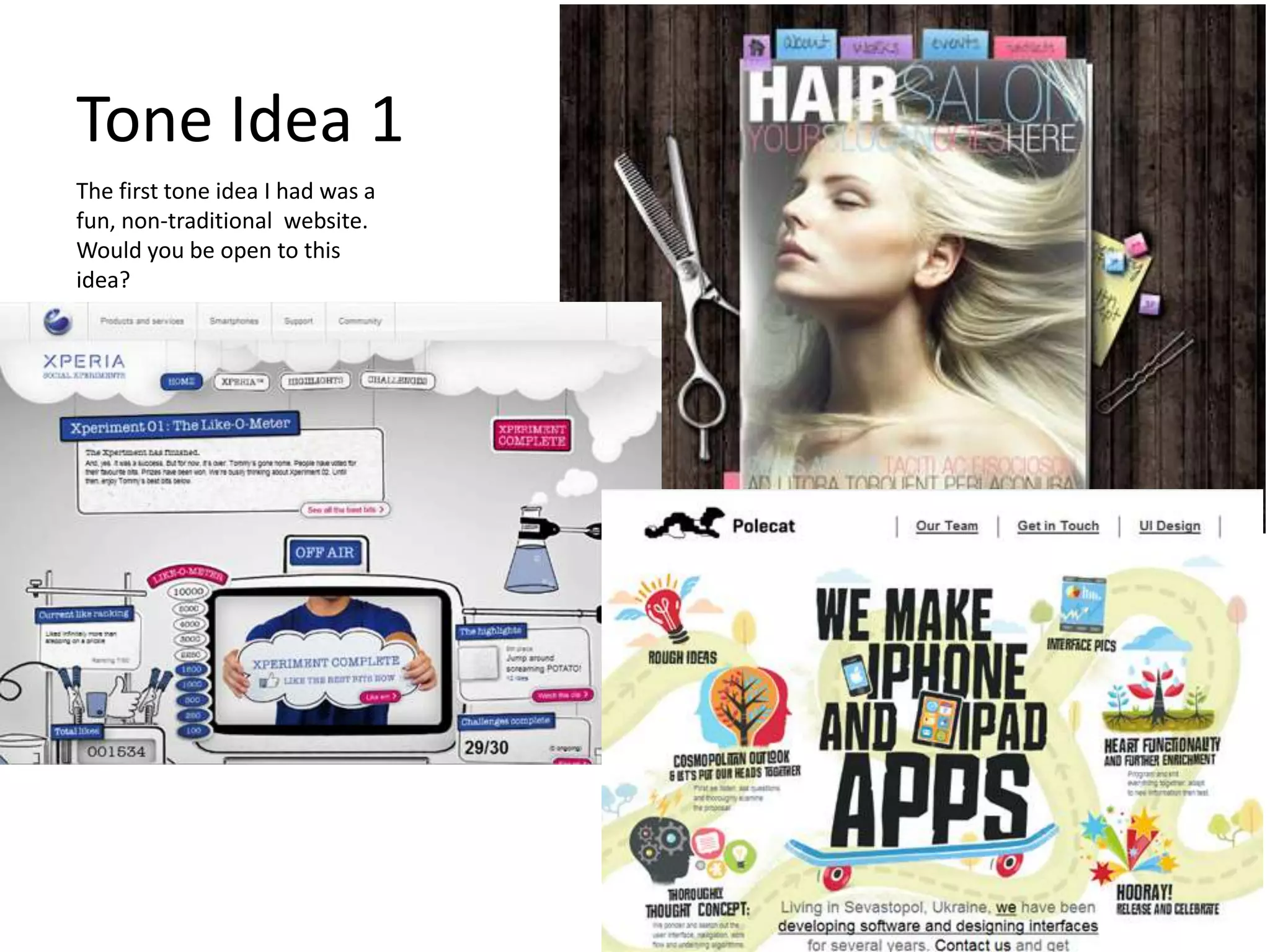 Tone Idea 1
The first tone idea I had was a
fun, non-traditional website.
Would you be open to this
idea?
 