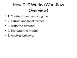 Redesigned_DLC_Tutorial_Aleksandra_Gavrilova.pptx