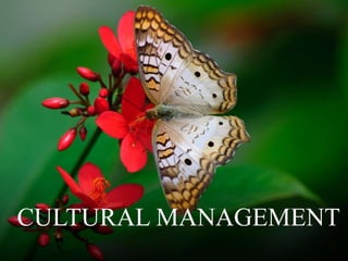 CULTURAL MANAGEMENT
 