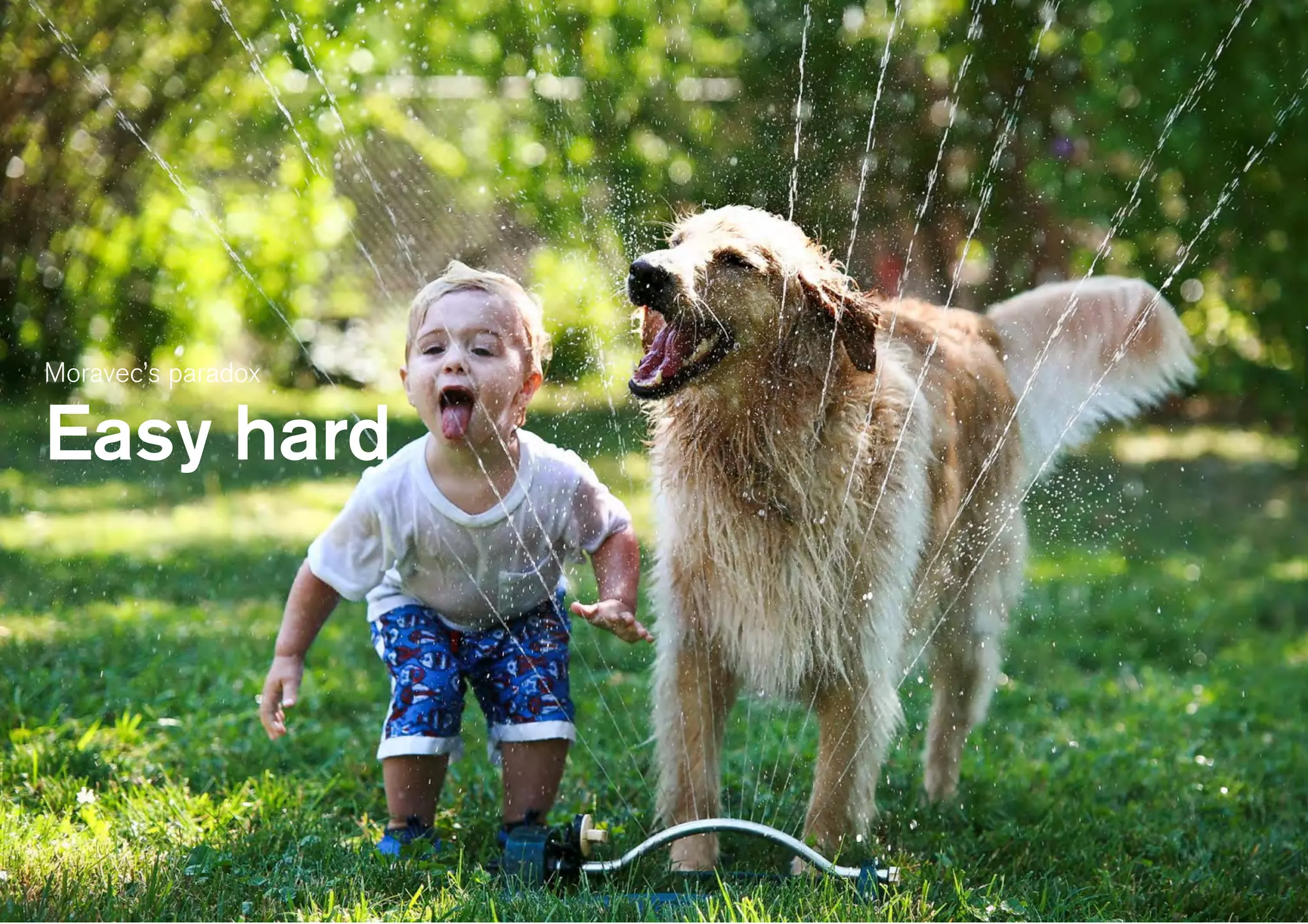 Moravec’s paradox
Easy hard
 