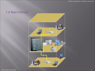 1.4 Red Híbrida: 
