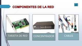 TARJETA DE RED CONCENTRADOR CABLES
 