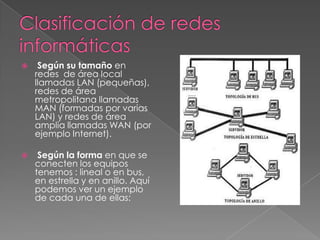     Según su tamaño en
    redes de área local
    llamadas LAN (pequeñas),
    redes de área
    metropolitana llamadas
    MAN (formadas por varias
    LAN) y redes de área
    amplia llamadas WAN (por
    ejemplo Internet).

    Según la forma en que se
    conecten los equipos
    tenemos : lineal o en bus,
    en estrella y en anillo. Aquí
    podemos ver un ejemplo
    de cada una de ellas:
 