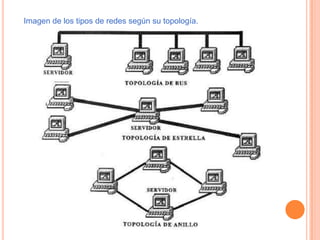 Imagen de los tipos de redes según su topología.
 