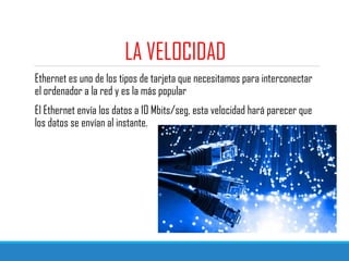 LA VELOCIDAD
Ethernet es uno de los tipos de tarjeta que necesitamos para interconectar
el ordenador a la red y es la más popular
El Ethernet envía los datos a 10 Mbits/seg, esta velocidad hará parecer que
los datos se envían al instante.
 