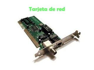 Tarjeta de red
 