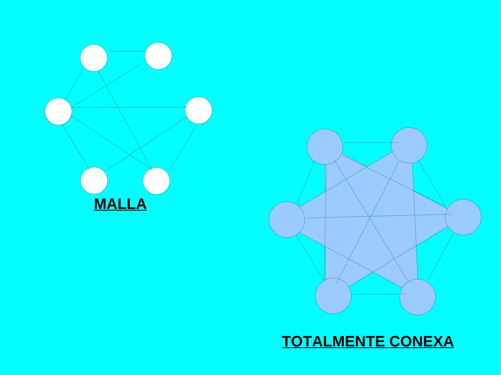 MALLA




        TOTALMENTE CONEXA
 