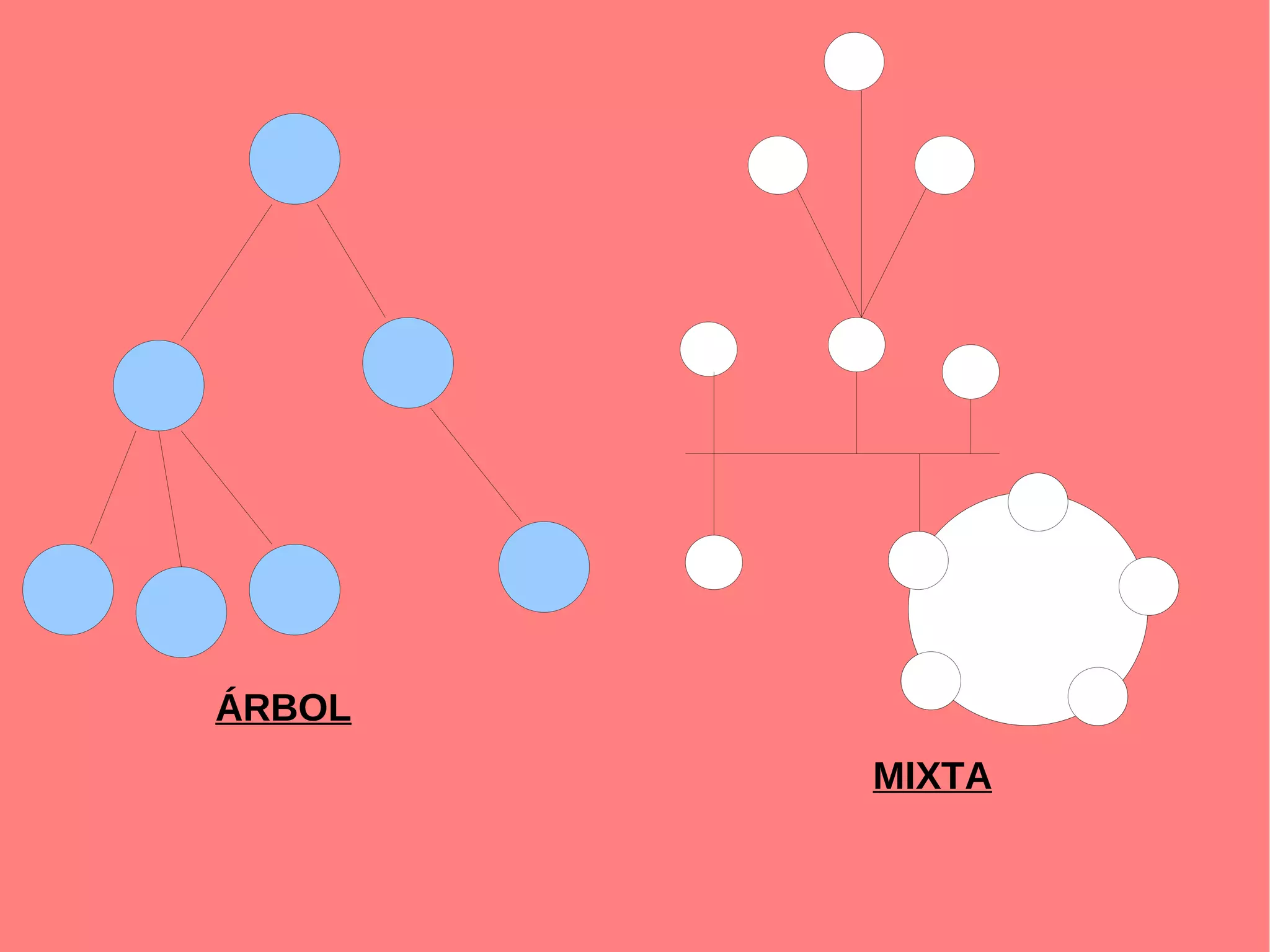 ÁRBOL
        MIXTA
 