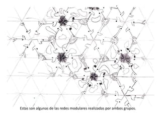 Estas son algunas de las redes modulares realizadas por ambos grupos.