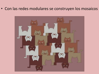 • Con las redes modulares se construyen los mosaicos