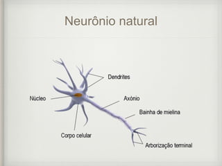 Neurônio natural
 