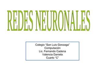 REDES NEURONALES Colegio “San Luis Gonzaga” Computación Lic. Fernando Cadena Valencia Daniela Cuarto “C” 