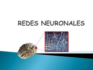 Redes Neuronales