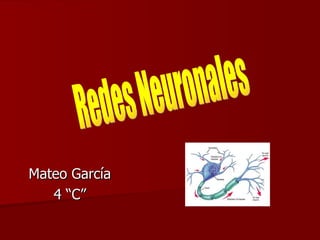 Mateo García 4 “C” Redes Neuronales 