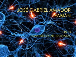 JOSÉ GABRIEL AMADOR FABIÁN  DN13 TEMA: REDES NEURONALES 