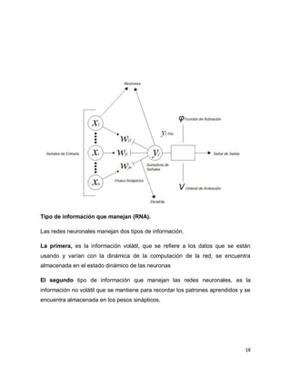 Tipo de información que manejan (RNA).

Las redes neuronales manejan dos tipos de información.

La primera, es la información volátil, que se refiere a los datos que se están
usando y varían con la dinámica de la computación de la red, se encuentra
almacenada en el estado dinámico de las neuronas

El segundo tipo de información que manejan las redes neuronales, es la
información no volátil que se mantiene para recordar los patrones aprendidos y se
encuentra almacenada en los pesos sinápticos.




                                                                               18
 