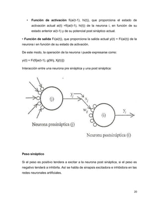 •   Función de activación fi(ai(t-1), hi(t)), que proporciona el estado de
        activación actual ai(t) =fi(ai(t-1), hi(t)) de la neurona i, en función de su
        estado anterior ai(t-1) y de su potencial post sináptico actual.

• Función de salida Fi(ai(t)), que proporciona la salida actual yi(t) = Fi(ai(t)) de la
neurona i en función de su estado de activación.

De este modo, la operación de la neurona i puede expresarse como:

yi(t) = Fi(fi[ai(t-1), g(Wij, Xj(t))])

Interacción entre una neurona pre sináptica y una post sináptica:




Peso sináptico

Si el peso es positivo tendera a excitar a la neurona post sináptica, si el peso es
negativo tenderá a inhibirla. Así se habla de sinapsis excitadora e inhibidora en las
redes neuronales artificiales.




                                                                                    20
 
