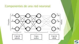 Componentes de una red neuronal
 