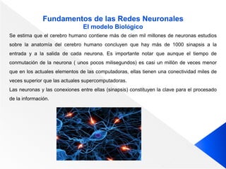 Fundamentos de las Redes Neuronales
El modelo Biológico
Se estima que el cerebro humano contiene más de cien mil millones de neuronas estudios
sobre la anatomía del cerebro humano concluyen que hay más de 1000 sinapsis a la
entrada y a la salida de cada neurona. Es importante notar que aunque el tiempo de
conmutación de la neurona ( unos pocos milisegundos) es casi un millón de veces menor
que en los actuales elementos de las computadoras, ellas tienen una conectividad miles de
veces superior que las actuales supercomputadoras.
Las neuronas y las conexiones entre ellas (sinapsis) constituyen la clave para el procesado
de la información.
 